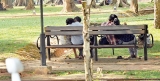 How to behave when visiting heritage sites How to behave when visiting heritage sites