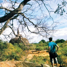 Finding himself and a riveting tale in translation