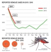 Dengue sites need to be cleared with ‘military precision’