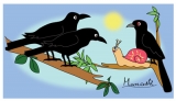The Crows, the Koel and the Snail