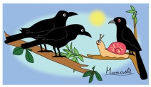 The Crows, the Koel and the Snail