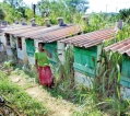 Photo focus: Jayaralapura a waterless village