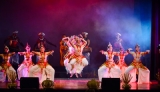 Concert marks Saptha Rangi School of Dance 25th anniversary