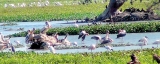 Photo focus: Anawilundawa wetlands under threat