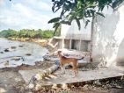 Destruction in Ariyagama Chilaw by recent heavy rains