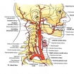 Can we get better results  for our stroke patients?