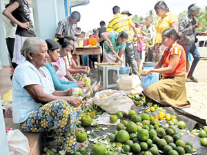 Dansala-Karuwalagaswewa