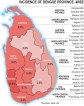 Seven areas at high risk of dengue epidemics