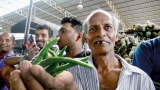 Green chilli causes heartburn at Rs 1,150 a kilo, vegetable prices rocket