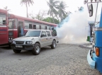 Govt. is chief offender  for spread of dengue