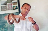 Famed snake rescuer killed by rescued cobra