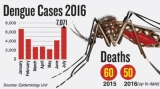 Dengue cases zoom, but officials predict decline