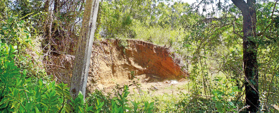 Ancient Parakarma Samudraya bund being lost to bricks and roads