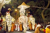 Entrancing tale of the Esala’s mighty tusker