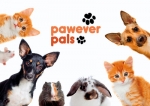Pawever Pals : Supporting the underdog