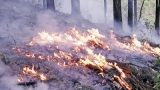 Environmentalists, officials, trade insults over fires