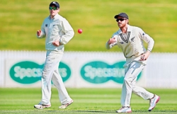 Lankans go ‘pink’ with Premier Cricket