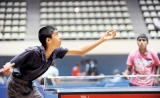 TT  a national hobby with vested interests playing ping pong