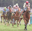 Deepavali Races next Saturday