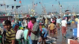 Flags flutter in protest