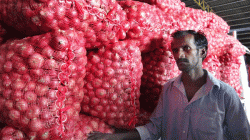 Onion issues in Sri Lanka