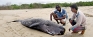 Snap raids on markets to stop dynamite fishing