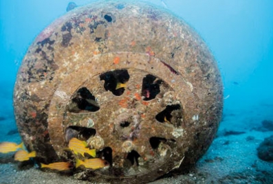 Netting the  lost Catalina