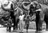 He stood tall among jumbos and other animals at our Zoo