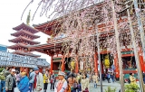 ‘Japan in a Photo Frame’ by Sandun