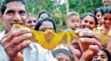 Curious humans take upside down view of orange-hued flyer