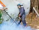 Battle against dengue continues as the disease rages