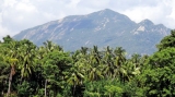 Photo focus: Horiwila -a new  world heritage site for Lanka