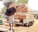 Few mighty millers accused  of rigging rice market