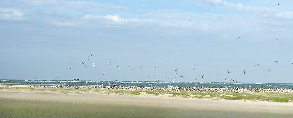 Cycling through Mannar