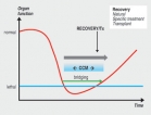 Minimising preventable deaths; critical care education is crucial