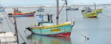 Days are numbered for destructive trawling in Sri Lanka