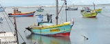 Days are numbered for destructive trawling in Sri Lanka Days are numbered for destructive trawling in Sri Lanka