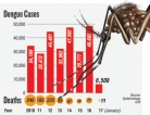 Dengue mainly reported from densely populated areas of Colombo