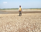Farmers demand Rs 50,000 per acre for crop damage