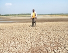Farmers demand Rs 50,000 per acre for crop damage Farmers demand Rs 50,000 per acre for crop damage