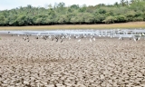 Sri Lanka needs $1.5 bln to  tackle impending drought crisis