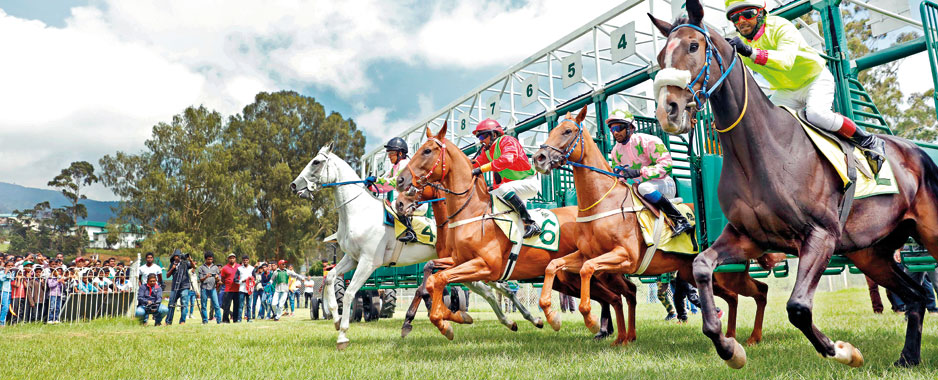 RTC at full stretch to make  SL a Horse-racing hub