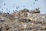 Colombo garbage mountain dumped on the desks of leaders