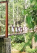 Students of Kirama Dhammananda visited Sinharaja Rainforest