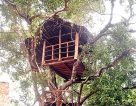 Amaara Forest Hotel Sigiriya and beyond