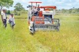 PMB stores overflowing with paddy: NE officials