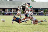 Schools Rugby is not child’s play or Authorities’ plaything