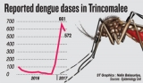 Deadly dengue  epidemic brings Kinniya to its knees