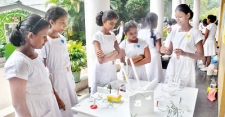 Students of Devi Balika Vidyalaya display their inventions at DESAFIO 2K17