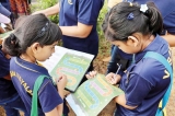 Take a walk in the wetlands of Thalawathugoda